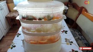 ОВОЩИ в ПАРОВАРКЕ. Очень полезно и вкусно Домашняя еда Кухня Рецепты