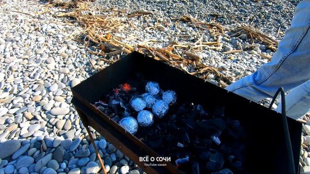 Рыба и Компания