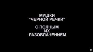 Мушки Черной речки с полным их разоблачением
