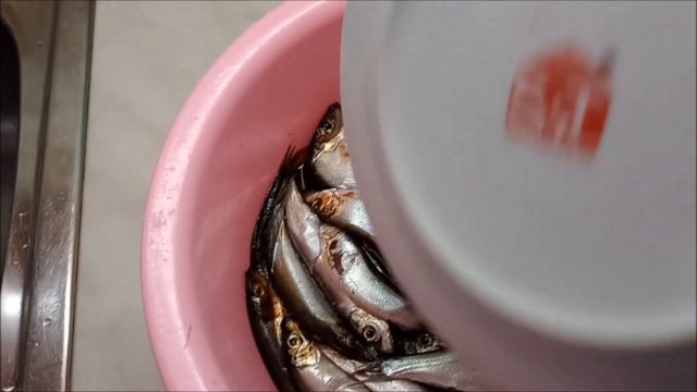 Солим кильку смотреть онлайн