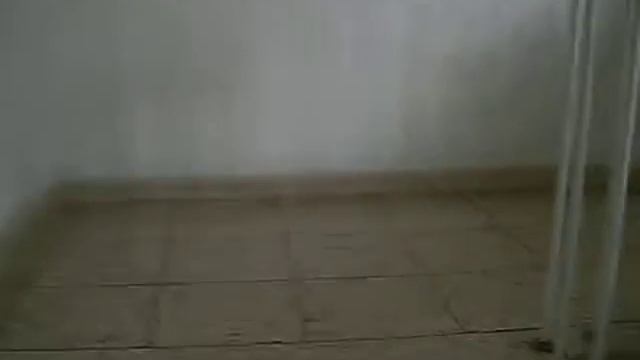 НЕДВИЖИМОСТЬ В ГЕРМАНИИ.  БОНН 25m² 20000 EUR NR2