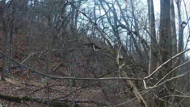 Вялая осенняя перезагрузка смотреть онлайн