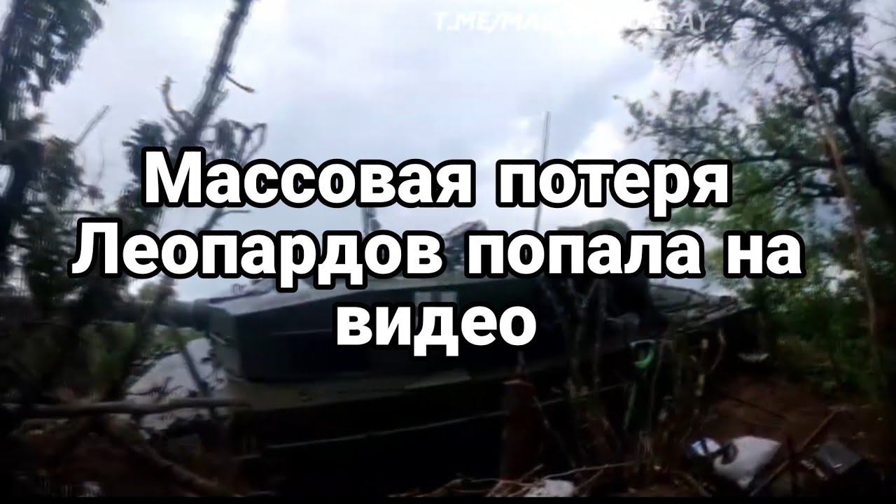 П0ПАЛ0 НА ВИДЕ0! 0ПЯТЬ П0ТЕРИ Леопардов
