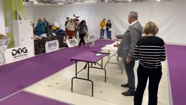 Моно Пудель КПЦ 