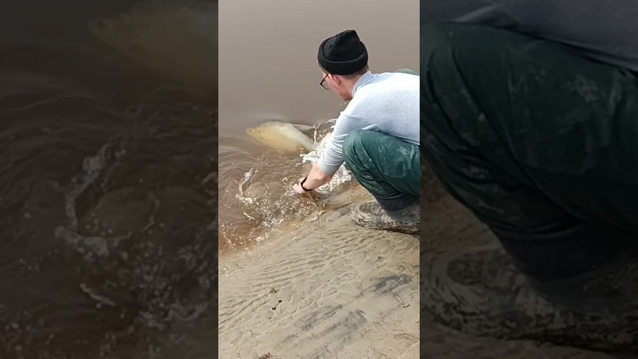 Пытался поймать рыбу смотреть онлайн