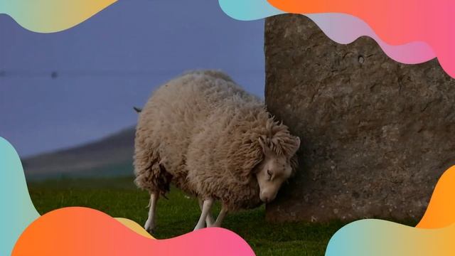 ЗВУКИ ЖИВОТНЫХ ДЛЯ САМЫХ МАЛЕНЬКИХ звуки домашних животных обучающие и развивающие смотреть онлайн