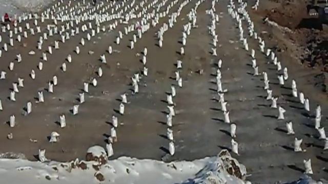 ВВ на блоке. смотреть онлайн