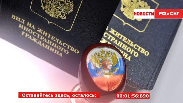 По каким профессиям можно получить РВП или ВНЖ? Как оформляется ВНЖ для специалистов? смотреть онлайн