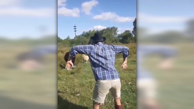 Куликитака ти смотреть онлайн