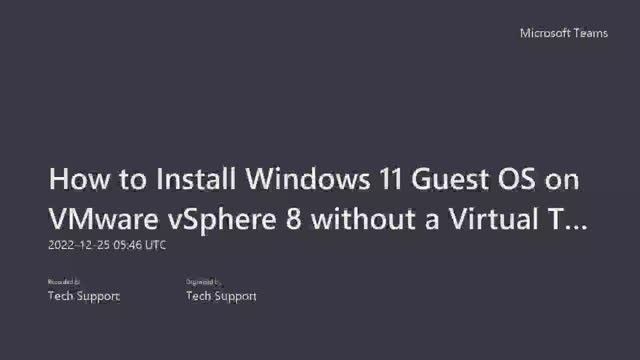 How to Install Windows 11 Guest OS on VMware vSphere 8 without a Virtual TPM 2.0? смотреть онлайн