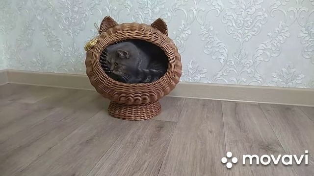 Плетёный домик для кошки смотреть онлайн