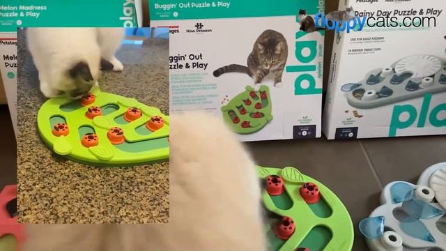 Cat Puzzle Games: Petstages Nina Ottosson Cat Treat Puzzle Toys смотреть онлайн
