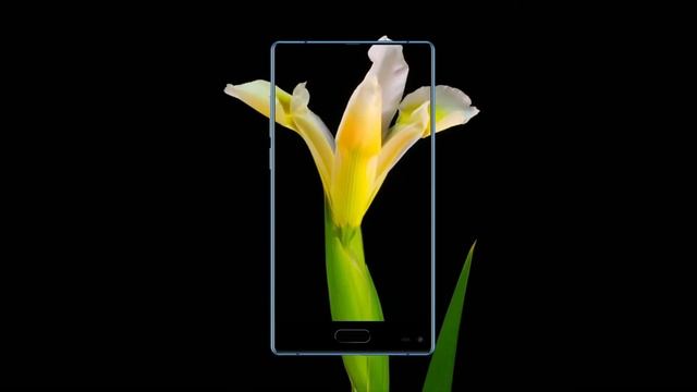 Безрамочный Смартфон Ulefone MIX цветы разтут Полный дисплей Полное зрение смотреть онлайн