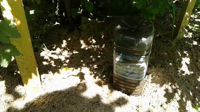 Спасение сада-огорода от жары и засухи. #садоводство #жара #засуха #gardening #heat #drought
