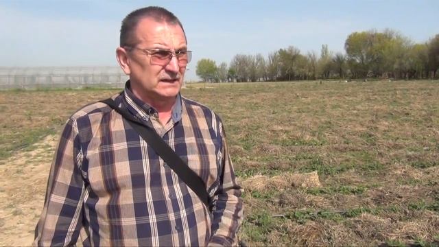 Интенсивная технология выращивания земляники клубники в открытом и закрытом грунтах (06-04-2018) смотреть онлайн