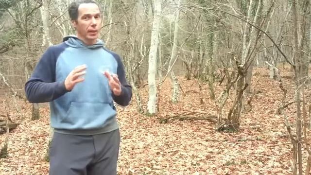 Как вылечить ГАСТРИТ (Гастродуоденит) 100% действующие рецепты и упражнения смотреть онлайн