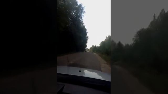 Дача в Дмитровскому районе смотреть онлайн