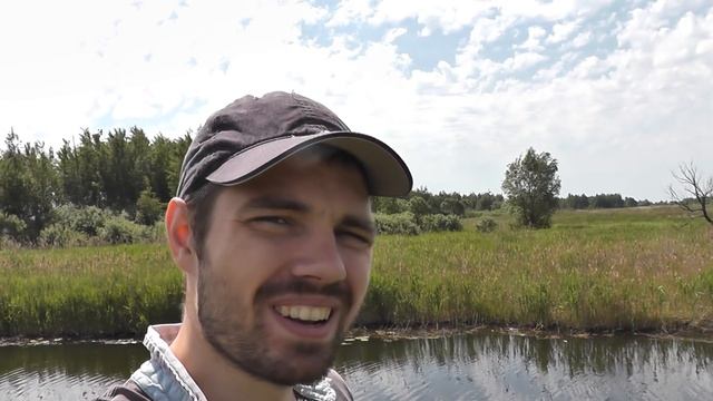 ТРИ ВЕДРА ЭЛИТНЫХ БОРОВИКОВ В СКАЗОЧНОМ ЛЕСУ|МАЙ 2019 смотреть онлайн