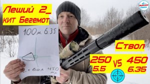 ✅ PCP ЛЕШИЙ 2 | СТВОЛ 450/6.35 | КИТ "БЕГЕМОТ" СРАВНЕНИЕ  250мм.(5,5)/450мм.(6,35) СТРЕЛЬБА НА 100м.