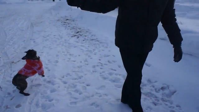 На даче 3.MP4 смотреть онлайн