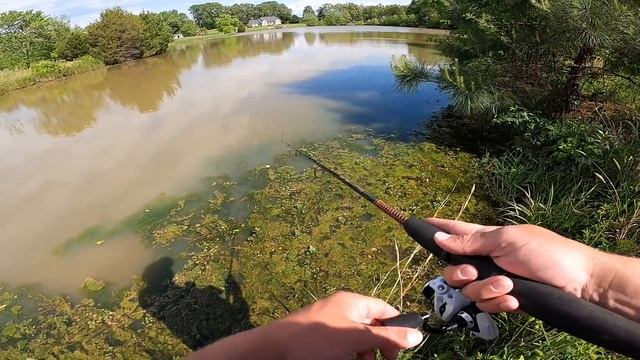 Dick’s Sporting Goods BUDGET Fishing Reel Challenge! смотреть онлайн