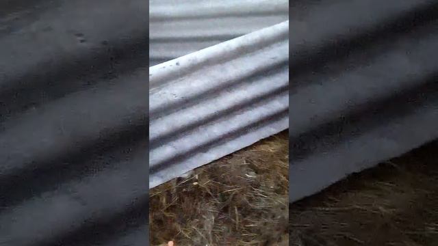 Рум турм по участку что-то пошло не так ловим кролика часть1 смотреть онлайн