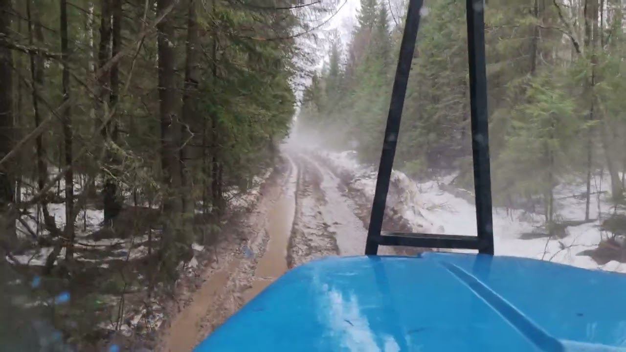 Лесная весна смотреть онлайн