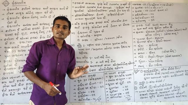 વિજ્ઞાન વિષય વિડિઓ/કંકાલતંત્ર/science videos/binsachivaly clark/polis constable/હાડકાઓ смотреть онлайн