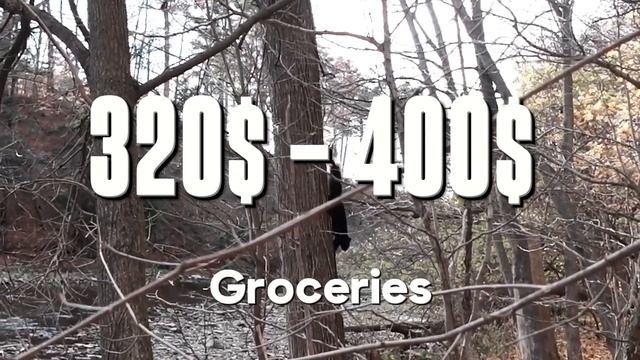 Плюсы и минусы Канады. Стоимость жизни в Торонто. Кому сюда стоит ехать в 2024 году? смотреть онлайн