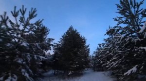 ПОКАТУШКИ НА СНЕГОХОДЕ БЕРКУТ С ДЕТЬМИ. СНЕГОХОД БЕРКУТ.