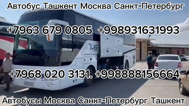 Такси Санкт Петербург ташкент!! +7965.3310100 #бухара #самарканд #такси #мигранты смотреть онлайн