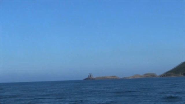 NATI JOURNEY Японское море / остров бакланов и морских котиков / Кристина - капитан #японскоеморе смотреть онлайн