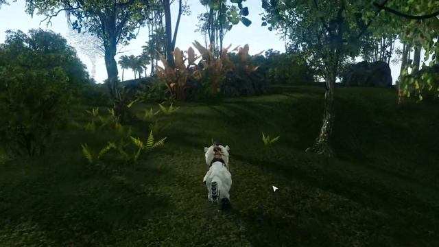 ArcheAge Beta Test Mar-9-2014 смотреть онлайн