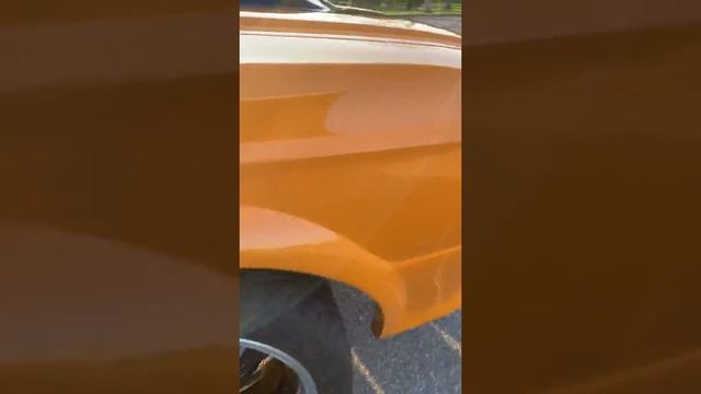 1967 Ford Mustang Fastback (Bumble bee) ? смотреть онлайн
