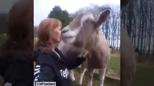 Будьте добрыми и мир откликнется смотреть онлайн