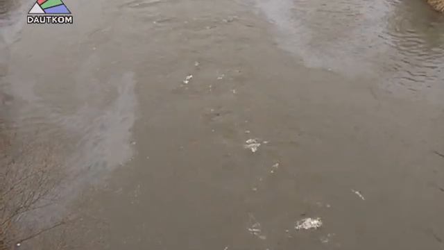 Каким будет весенний паводок смотреть онлайн