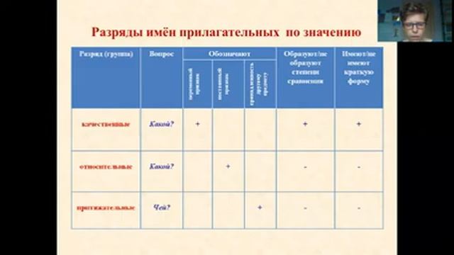 Имя прилагательное Урок 2 Разряды прилагательных смотреть онлайн