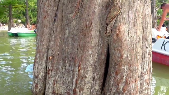 Рома показывает КАК ПЛАВАТЬ в бассейне и ОТПРАВЛЯЕТСЯ в сказочное место Рома ВЛОГ смотреть онлайн