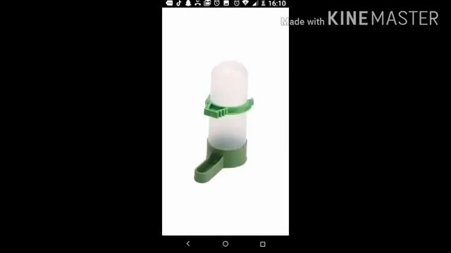 что нужно купить,чтобы завести волнистого попугая? смотреть онлайн