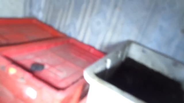 Ответ подписчику Наталье/Разведение червя дендробена смотреть онлайн