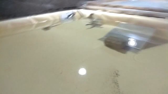 Разведение АККР 17. Где и как раки зимуют?) смотреть онлайн