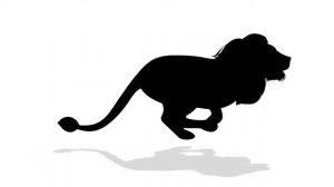 Animal race cartoon-animal raceway-wild animal unrestricted race cartoon-great animal race for kids