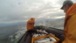 РЫБАЛКА. ОХОТСКОЕ МОРЕ.