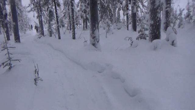 Поездка на Полюд и Ветлан. смотреть онлайн