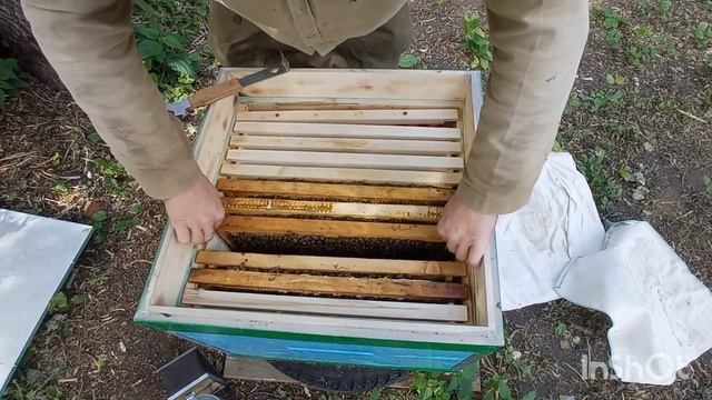 Пчёлы за работали. смотреть онлайн