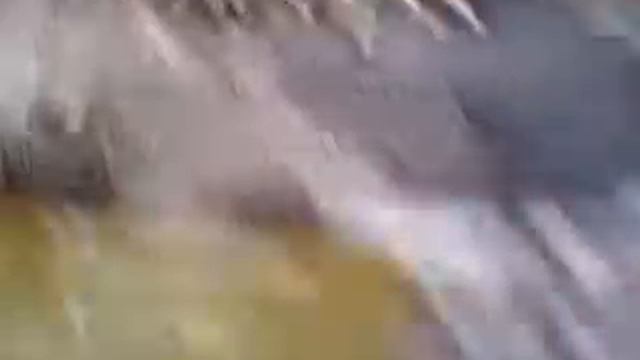 Всё про Готмога смотреть онлайн