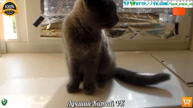 Распаковка ОГРОМНОЙ ПОСЫЛКИ ИЗ БЕРЛИНА