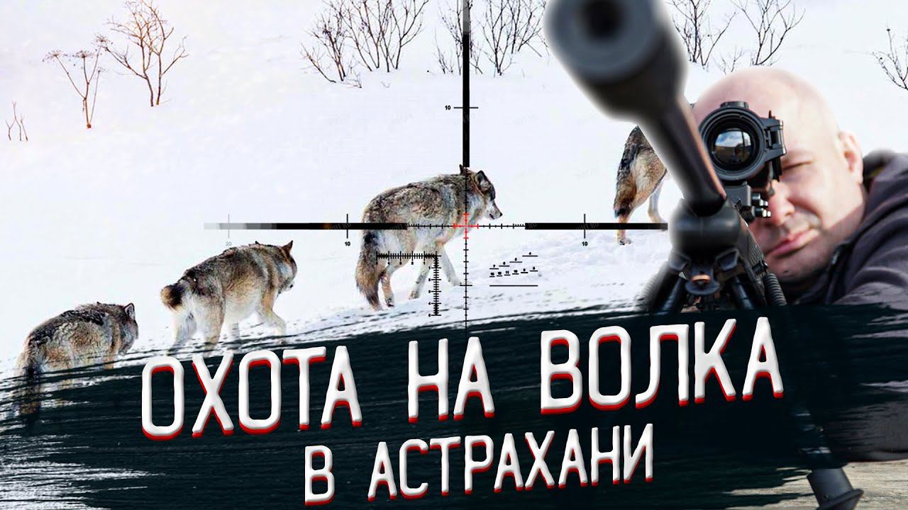 Охота на волка! Выстрел и попадание в кадре! Охота на волков в АСТРАХАНИ смотреть онлайн