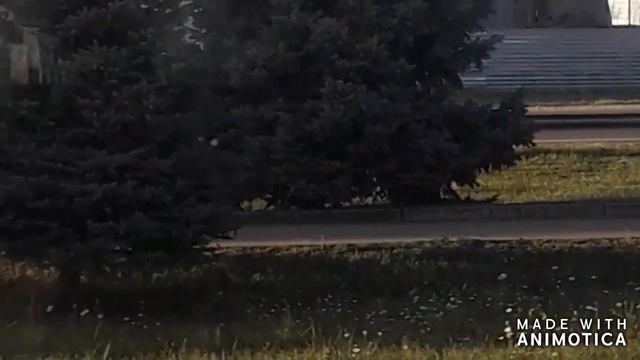поездка на юг в поезде 2019 г. часть 1 смотреть онлайн