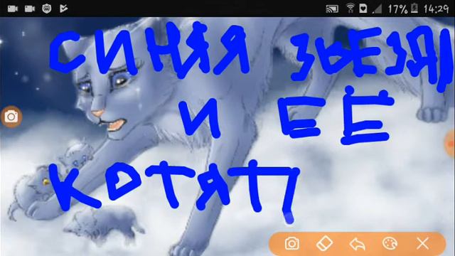 Коты Воители. Читать описание!